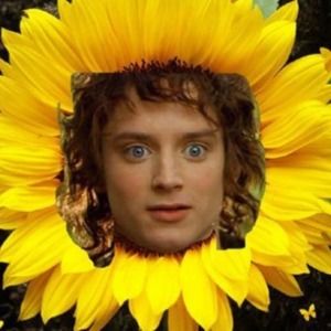 Meet your Posher, Sierra